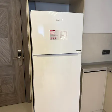 Serenity Проживание в семье